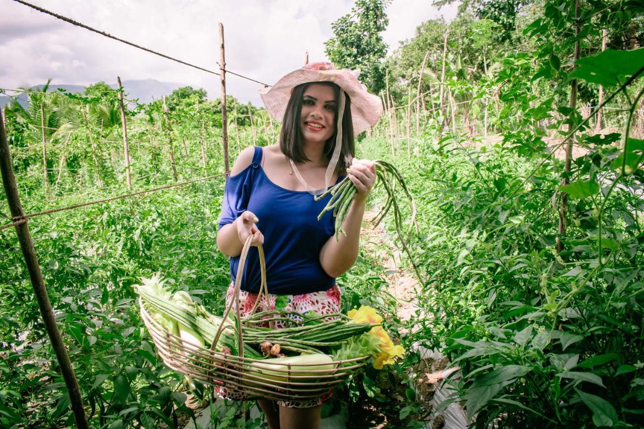 Sayon River Cottage & Eco Garden Monaragala Εξωτερικό φωτογραφία