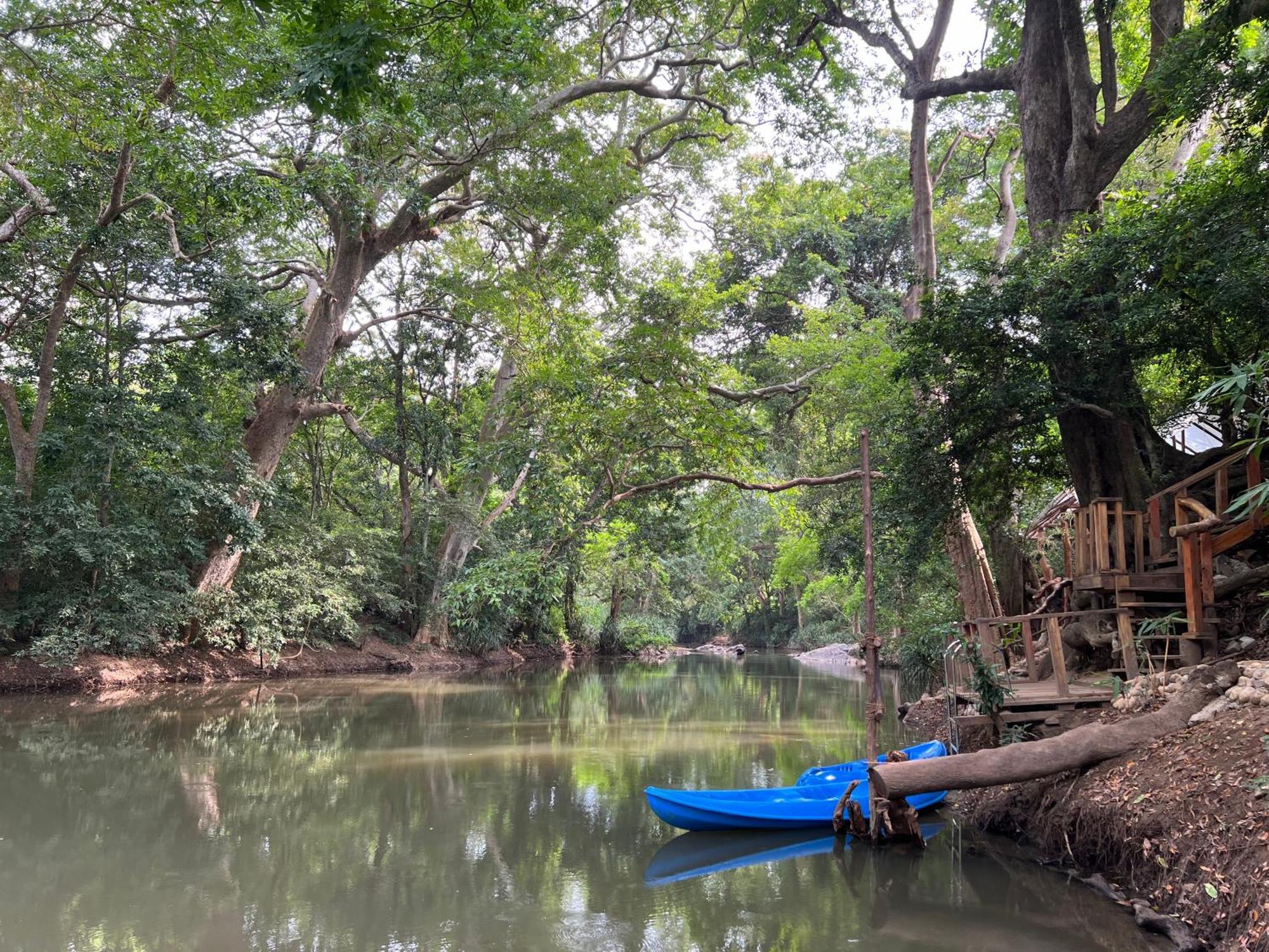 Sayon River Cottage & Eco Garden Monaragala Εξωτερικό φωτογραφία